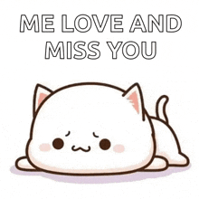 Cute Cat