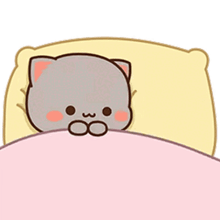 Hug Cat